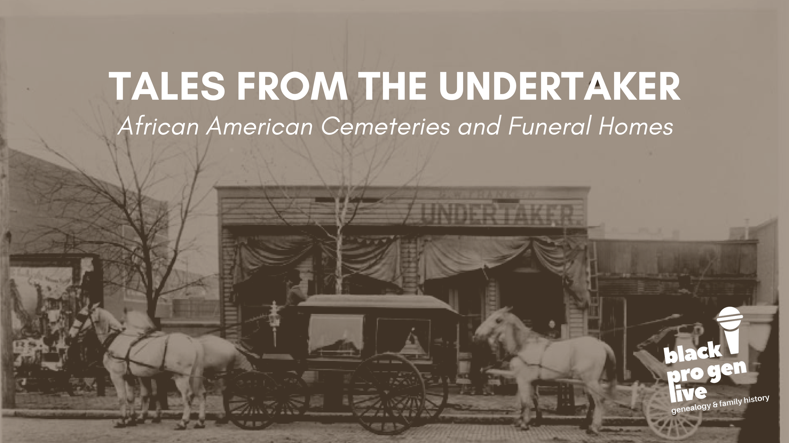 78-Feb19-Undertaker
